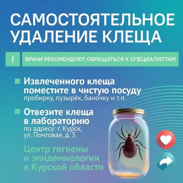 В сезон активности клещей ЦУР напоминает о правилах безопасности.